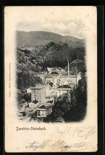 AK Dornbirn-Steinebach, Ortsansicht aus der Vogelschau