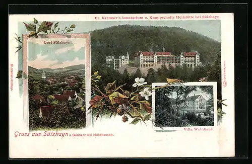 AK Sülzhayn a. Südharz, Dr. Kremser`s Sanatorium und Knappschafts-Heilstätte, Villa Waldhaus, Dorfansicht