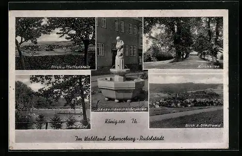 AK Königsee /Th., Ortsansicht vom Pfaffenstein aus, Waldbad, Blick zum Stadtwald