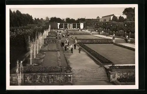 AK Reichsgartenschau Essen, Blick auf die Farbenterassen