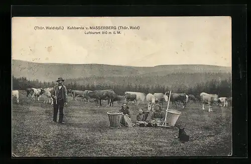 AK Masserberg i. Thür. Wald, Waldidyll mit Kuhherde