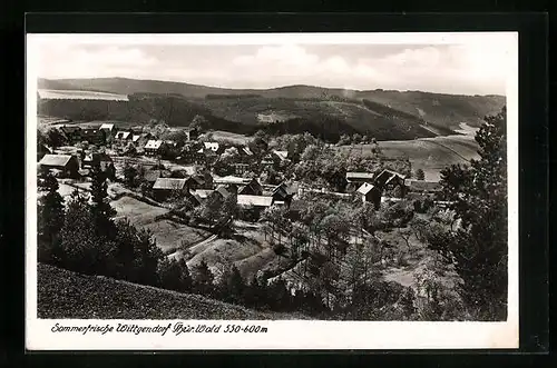 AK Wittgendorf, Ortspartie vom Berg aus