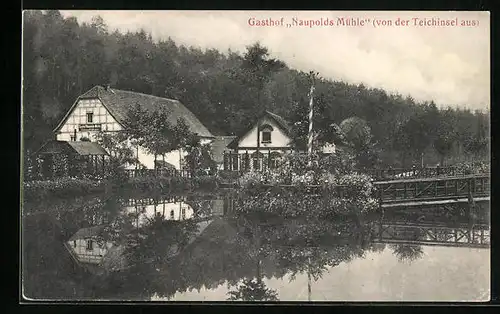 AK Eisenberg, Gasthof Naupolds Mühle von der Teichinsel aus