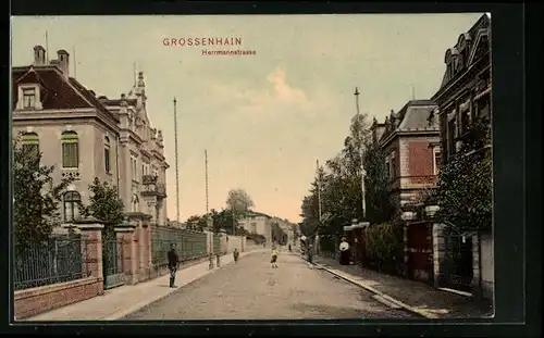 AK Grossenhain, Partie in der Hermannstrasse, mit Passanten und Kindern