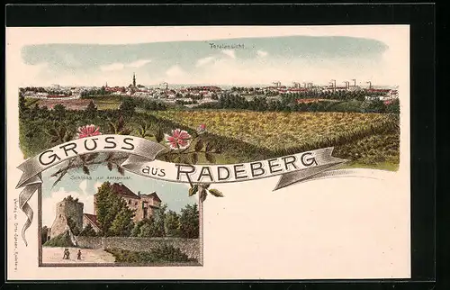 Lithographie Radeberg, Totalansicht, Schloss jetzt Amtsgericht