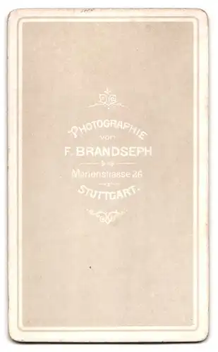 Fotografie F. Brandseph, Stuttgart, Marienstrasse 36, bürgerlicher Herr mit Schnauzbart und Fliege