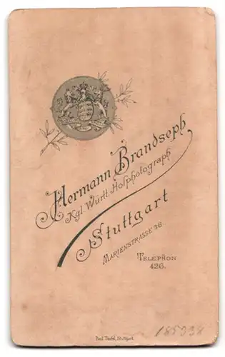 Fotografie Hermann Brandseph, Stuttgart, Marienstrasse 36, eleganter Herr mit Krawatte und Vollbart