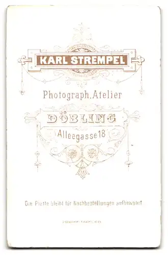 Fotografie Karl Stempel, Döbling, junges Brautpaar im Hochzeitskleid mit Schleier und im Anzug, Arm in Arm