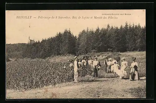 AK Brouilly, Pelerinage du 8 Septembre - Bois de Sapins et Montée des Pélerins