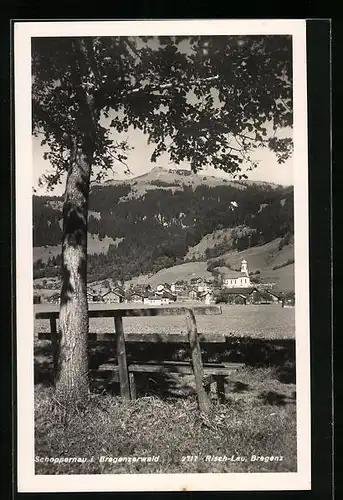 AK Schoppernau i. Bregenzerwald, Fernblick auf Ort und bewaldete Hänge