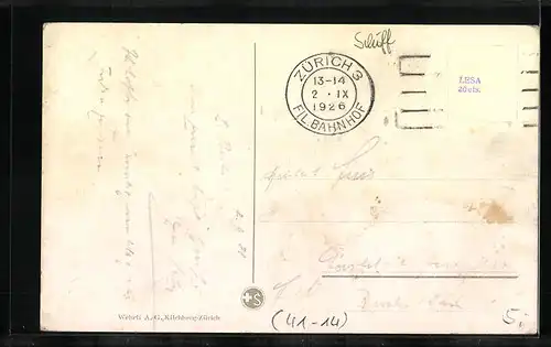 AK Zürichsee-Dampfer Stadt Zürich mit Schweizer Alpenpanorama