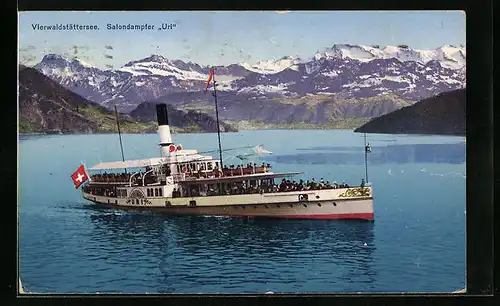 AK Salondampfer Uri auf dem Vierwaldstättersee mit Alpenpanorama