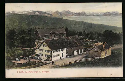 AK Fluh b. Bregenz, Ortsansicht aus der Vogelschau