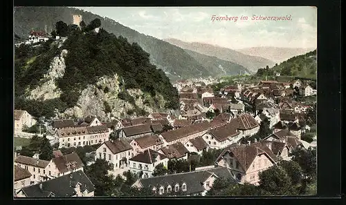 AK Hornberg im Schwarzwald, Teilansicht