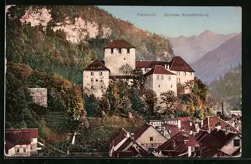 AK Feldkirch, Teilansicht mit Schloss Schattenburg