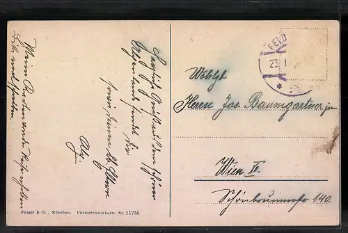 AK Feldkirch, Teilansicht mit Feldern und Bergen