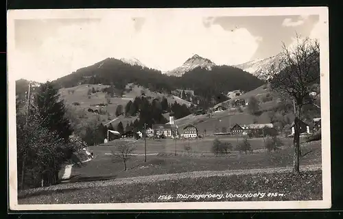 AK Thüringerberg, Teilansicht mit Strasse und Umgebung