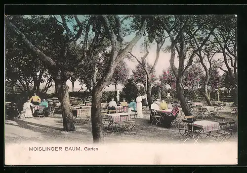 AK Lübeck, Gasthaus Moislinger Baum mit Garten