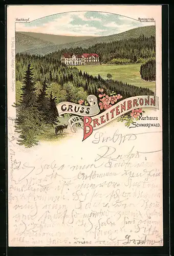 Lithographie Breitenbronn, Kurhaus Schwarzwald mit Hochkopf und Hornisgrinde