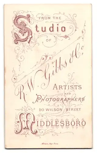 Fotografie R. W. Gibbs & Co., Middlesboro, 20 Wilson Street, kleines hübsches Mädchen im schönen Kleidchen