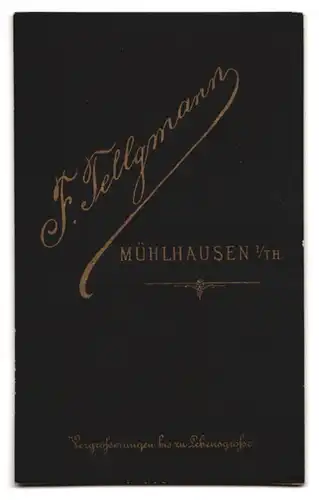 Fotografie F. Tellgmann, Mühlhausen i. Th., Husar in Uniform mit Moustache sitzend im Atelier