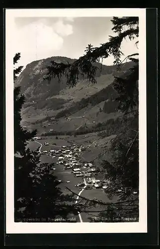 AK Schoppernau, Panorama vom Berg aus gesehen