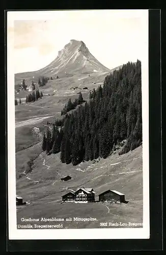 AK Damüls, Gasthaus Alpenblume mit Mittagspitze