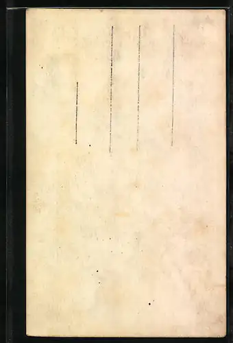 AK Brand, Brandnerstrasse mit Scesaplana