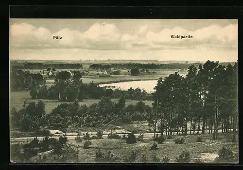 AK Pätz, Waldpartie