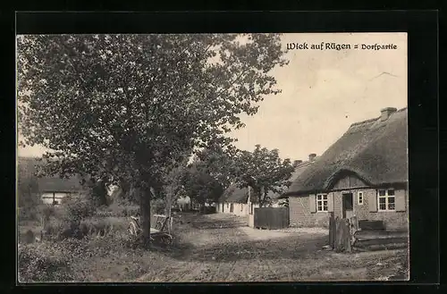 AK Wiek auf Rügen, Dorfpartie
