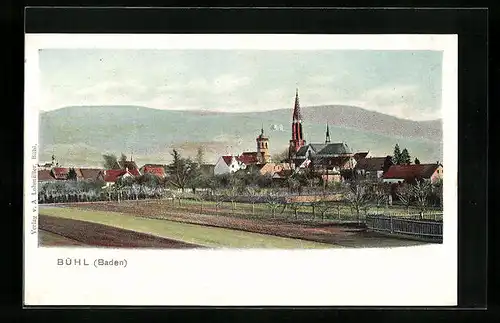AK Bühl /Baden, Ortspanorama mit Feldern