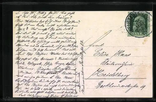 AK Kaiserslautern, Totalansicht, Totalansicht aus der Vogelschau