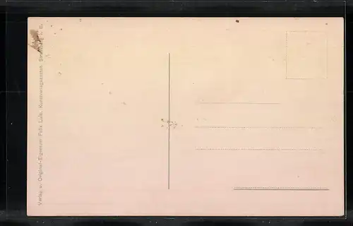 AK Feldkirch, Gesamtansicht mit Kirche