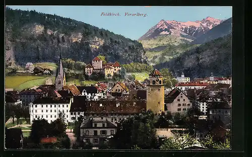 AK Feldkirch, Teilansicht mit Blick auf Berg