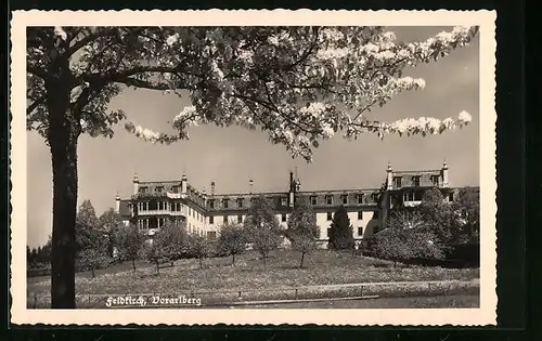 AK Feldkirch, Langes Gebäude hinter blühendem Baum