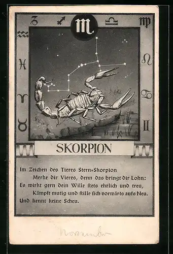 AK Sternzeichen Skorpion, Im Zeichen des Tieres Stern-Skorpion...