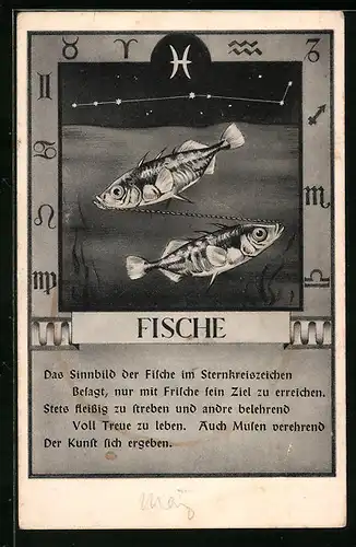 AK Sternzeichen Fische, Das Sinnbild der Fische im Sternkreiszeichen...