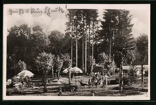 AK Schönwald, Parkanlage des Hotels Hirschen