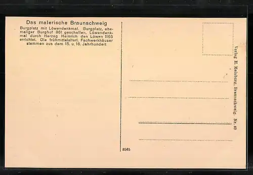 AK Braunschweig, Burgplatz mit Löwendenkmal