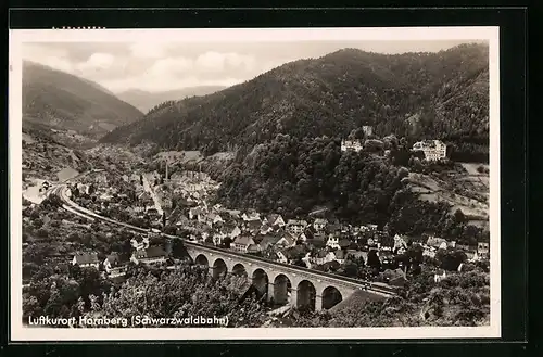 AK Hornberg /Schwarzwaldbahn, Teilansicht mit Aquädukt