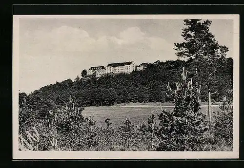 AK Odilienberg, Panoramaansicht im Sonnenschein