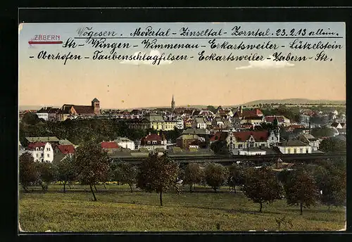 AK Zabern, Blick auf die Stadt