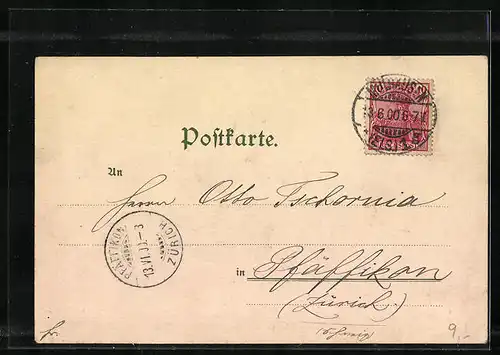 Lithographie Mülhausen i. E., Blick über die Stadt