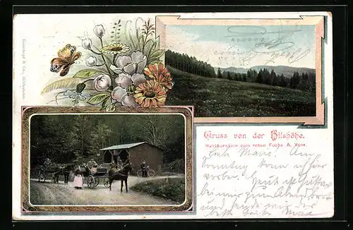 AK Grünenplan-Hilshöhe, Restauration zum Roten Fuchs mit Blumen