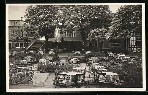 AK Dresden-Tolkewitz, Gaststätte Donaths Neue Welt, Teilansicht mit Garten