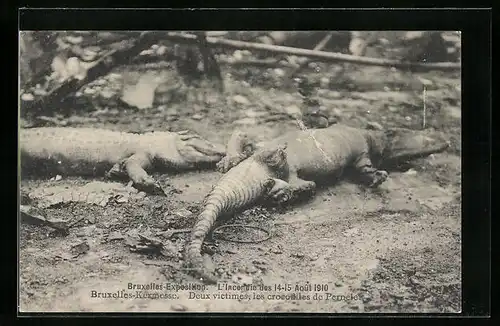 AK Bruxelles, Exposition 1910, L`Incendie, Deux victimes, les crocodiles de Pernelet