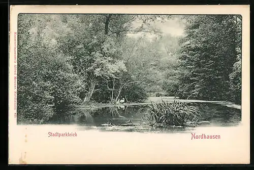 AK Nordhausen, Stadtparkteich