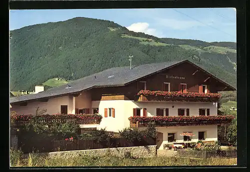 AK Natz bei Brixen, Haus Birkenbrunn