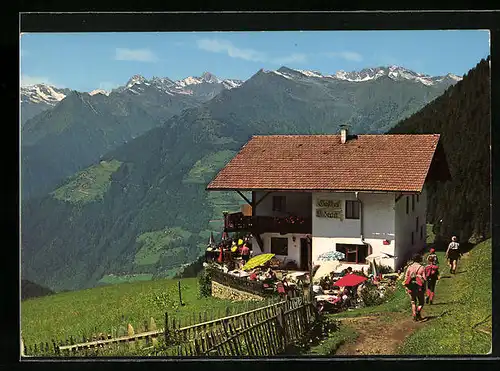 AK Schenna-Tall bei Meran, Gasthof Videgg und Texelgruppe