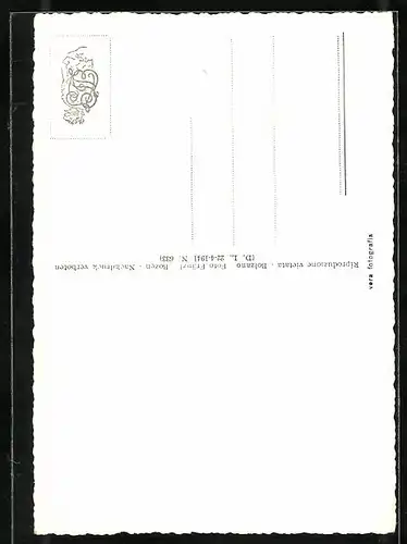 AK Bozen, Obstmarkt aus der Vogelschau